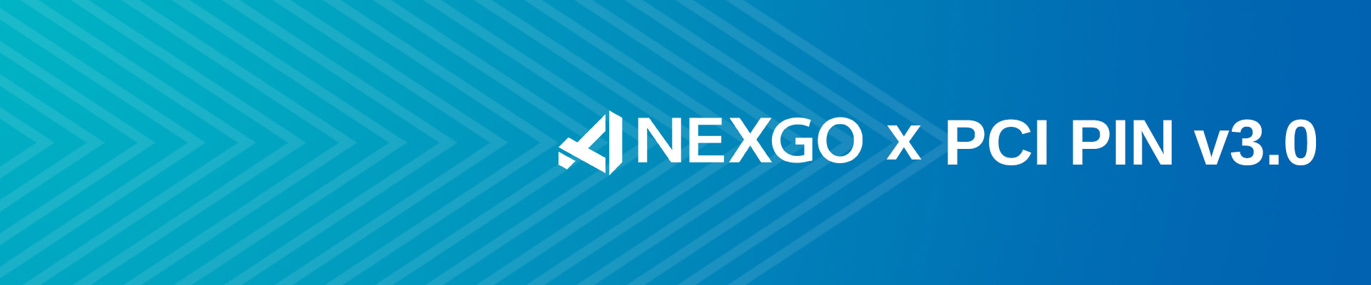 NEXGO PCI PIN v3.0